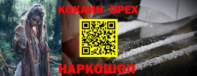 молекула духа Бийск