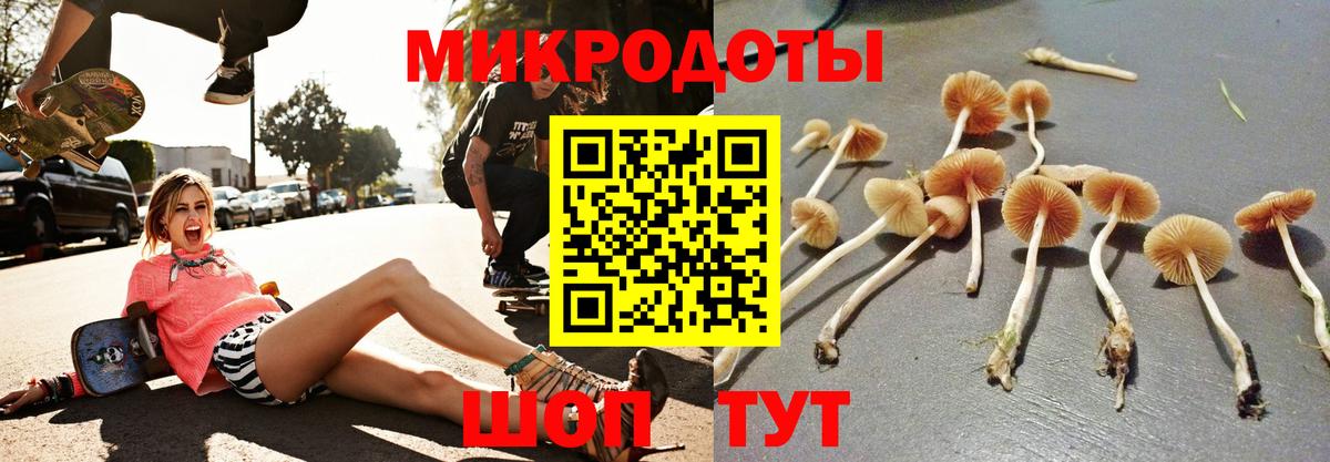 Галлюциногенные грибы прущие грибы Касимов