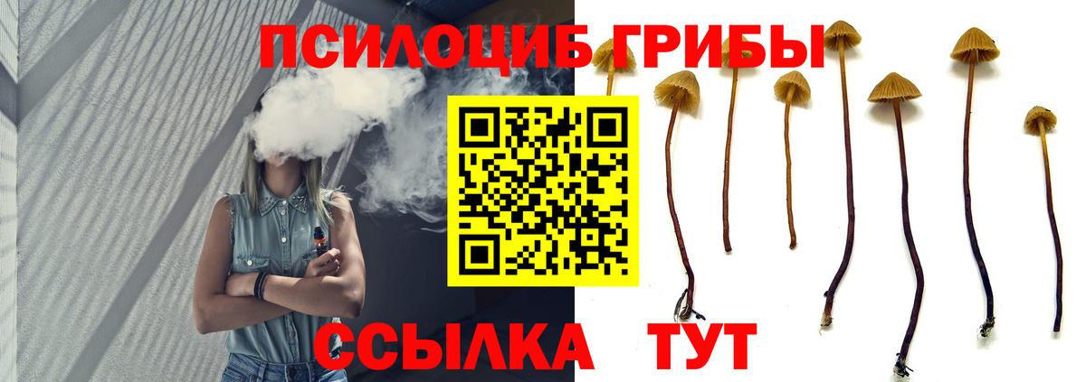 Касимов  Галлюциногенные грибы GOLDEN TEACHER  Вход с VPN 